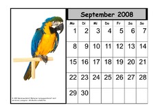 Tier-Kalender-08-09.pdf